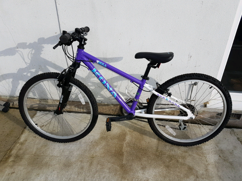 kona hula mountain bike